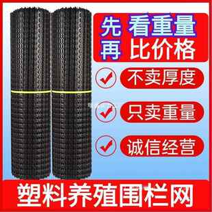 盛邦荣荣网格隔离塑料网养殖网加厚盛邦拦鸡网围栏网防护网护栏网