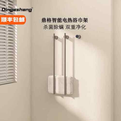 Dinge鼎格全铜智能电加热毛巾架卫生间暗装预埋式浴巾浴袍烘干架