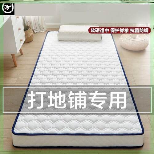 放地上睡觉的床直接睡地上垫防潮打地舖隔寒垫铺在地上睡的床加厚