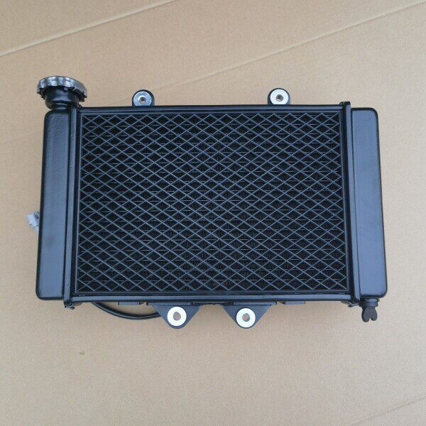 蛟龙400火牙摩托车水箱 小忍者冷却箱 风扇 N19跑车散热器A