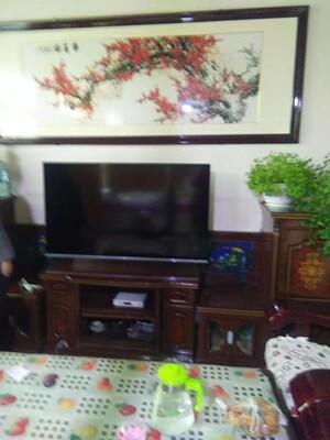 实话真说TCL55t6与海信55E52D哪个口碑好，评测揭秘真相