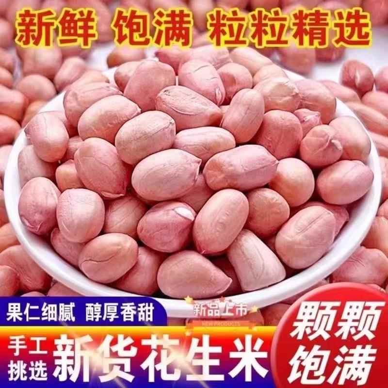 一斤装2025年新花生米生的花生米商用新鲜花生米白沙无坏籽精选图片