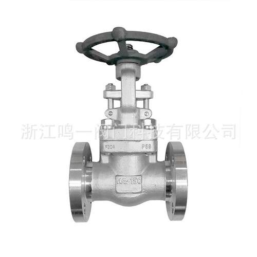 锻钢整体锻造法兰闸阀不锈钢连体法兰闸阀F04一体式法兰闸阀Z41W