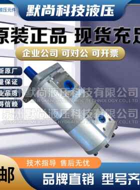 合肥皖液齿轮泵CBNL-F563/F520 F563/F510 F550/F520-BF液压油泵