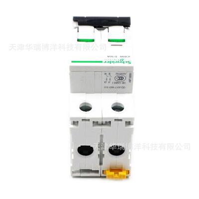 2P小型断路器IC65N空开D50A微型断路器A9F19250家用