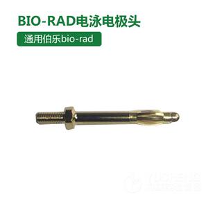 通用BIO 天能电泳电泳电极头电泳槽电极头转膜电极头配件 RAD伯乐