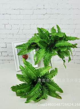 新款直销仿真花波斯叶 假花仿真7叉18叶波斯叶植物墙配材仿真植物
