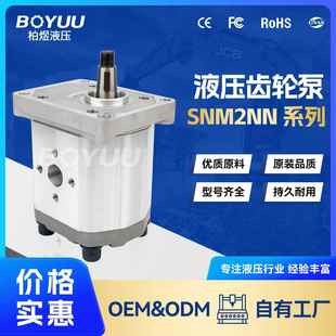 SNM2NN022BN01BAM1C7C7NNNNNNNN齿轮泵 厂家直销 用于石油设备