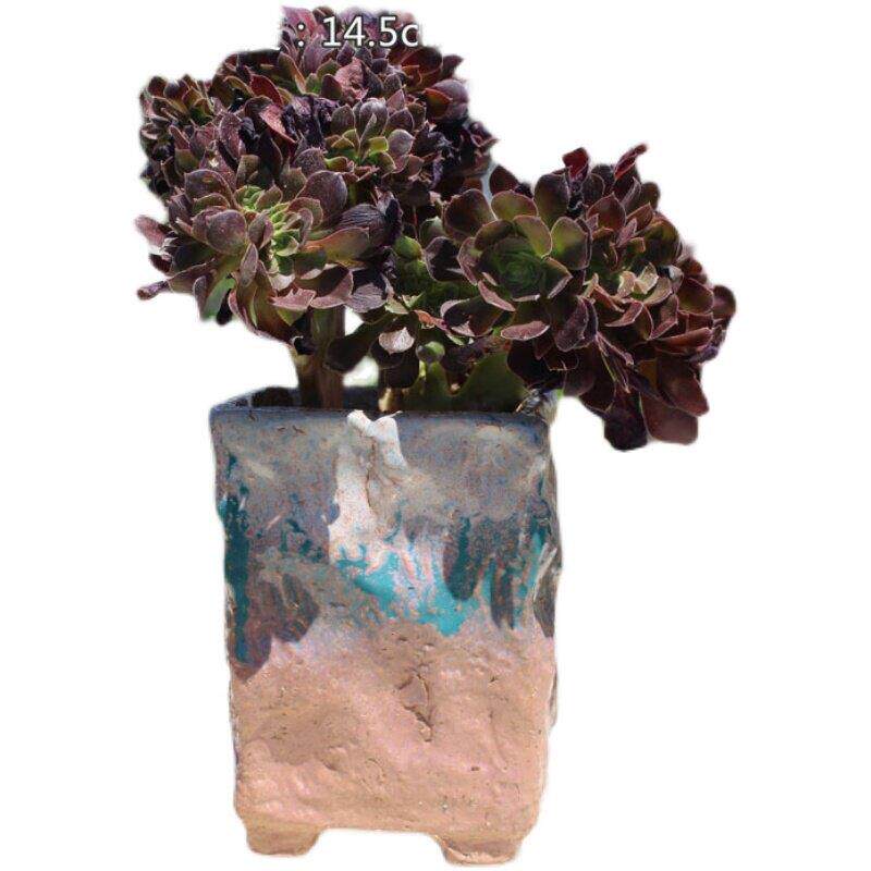 麦饭石多肉花盆老桩方形花卉吸水透气覆古桌面地面古典窑变