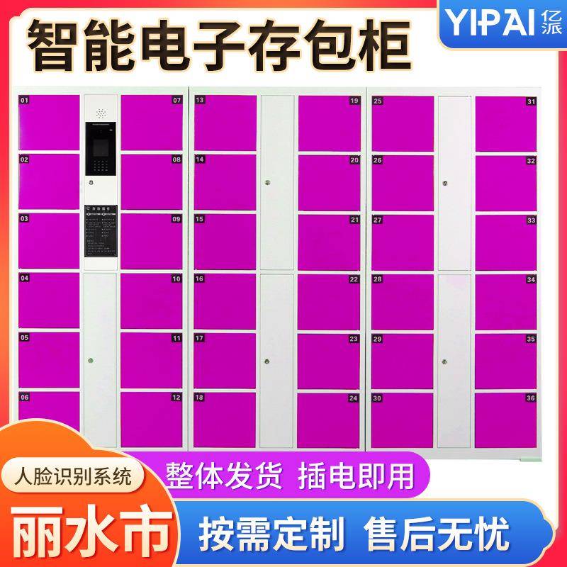 丽水市智能电子储物柜景点投币微信支付自助寄存柜超市条码存包柜