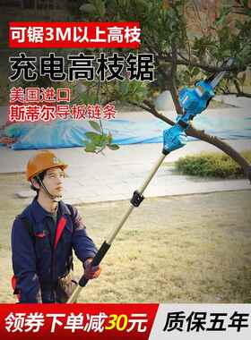 锂电高电枝锯果树剪机动修单枝ONB机修高空电锯进口链条油锯手伐