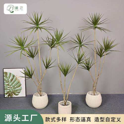 仿真绿植千年木室内客厅家居商场装饰盆栽大型落地植物狭叶龙血树