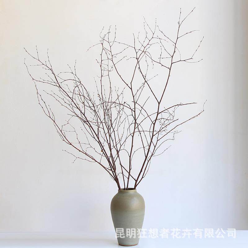 狂想者【精品桦树枝】高级感侘寂风客厅装饰干花干树枝