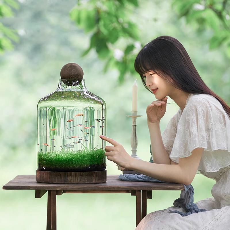 生态鱼瓶玻璃鱼缸微景观鱼虾水草自循环办公室迷你植物免换水打理