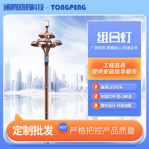 LED中华灯玉兰灯广场公园景观路灯市政工程组合照明景观灯