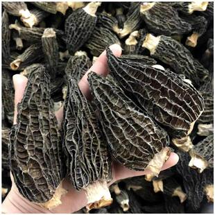 羊肚菌干货1000g今年新货新疆直发菌菇类8cm以上新鲜大羊肚菌干货