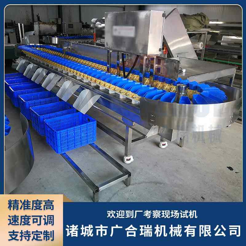 水果脐鸡橙拣机 GHR全自动鲜生蚝小分龙虾称重机 海鸭鹅料盒分选
