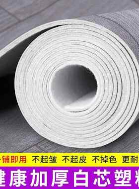 加地厚地地直板革水泥地接铺家用地面铺DTQ垫卧室防水垫大毯面积