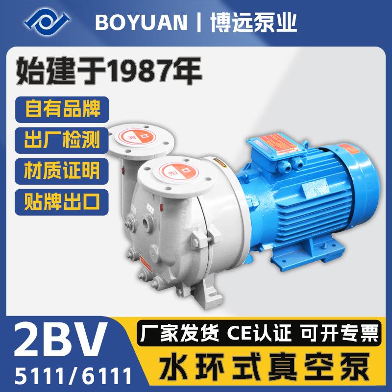 博远泵业2BV5111/6111水环真空泵5.5kW铸铁304耐腐机封负压抽气泵