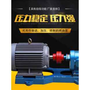 高温齿轮油泵2Cy电动高压增压泵润滑泵输油泵铸铁泵头工业自吸泵