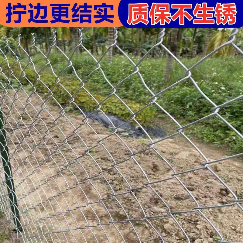 镀锌铁丝网钢丝围栏养猪牛羊勾花网鸡鸭狗养殖网鱼塘果园防护