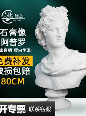 绘岳阿普罗石膏像石膏教具头像人物人像素描雕塑摆件装饰模型家居
