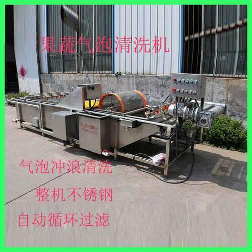 海蛎子泡椒小银鱼清洗机青菜叶菜自动清洗机全自动毛豆清洗机