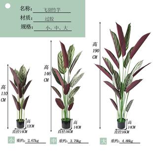 亚马逊仿生盆栽绿植飞羽竹芋室内落地大型仿真树装饰人造大竹芋