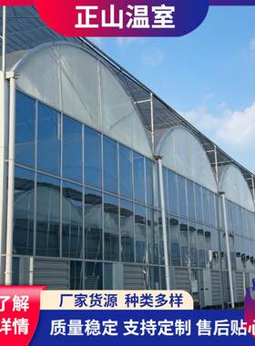 阳光板温室大棚休闲农业蔬菜观光园温室连栋智能采光阳光板温室