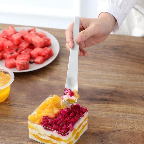 Stainless Steel Dessert Spoon for Eating Cake, Flat Head Spo