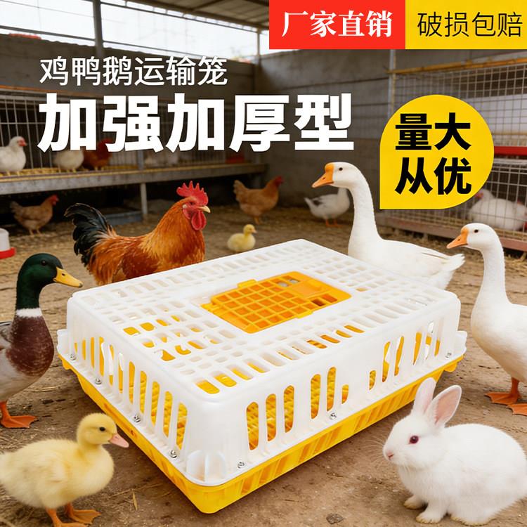 鸡笼运输笼塑料家禽鸡笼新型鸡鸭鹅鸽子笼子户外家用大号农村鸡笼