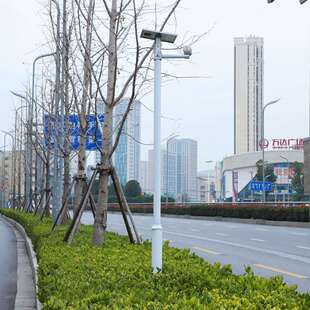 户外道路安全监控杆八角监控杆L型道路监控杆4米5米道路电子杆