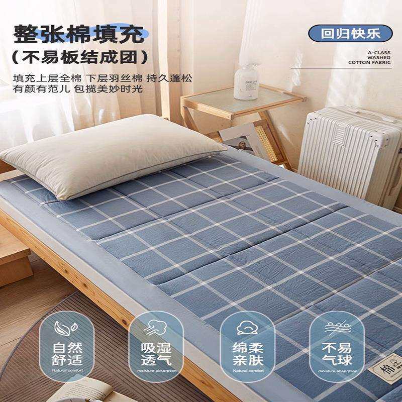 A类床垫宿舍学生租房专用软垫家用卧室薄垫褥子保护罩单人床棉花