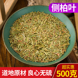 侧柏叶 侧伯叶 侧柏叶可配桑叶苦丁茶叶500g/满两