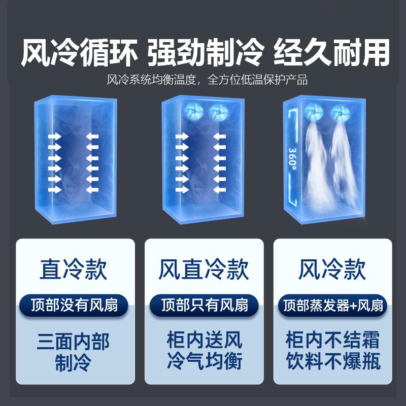 啤酒柜展示柜商用冷饮柜超市酒吧保鲜柜饮料冰柜冷藏单双门展示柜