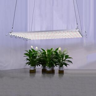 led植物生长灯鱼全光谱温室白暖红灯管植物补光灯管growlight