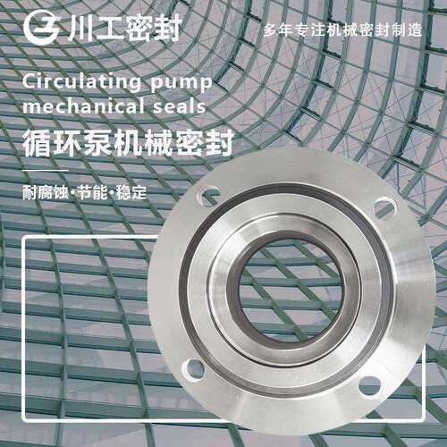 双端机封LCF2000/41B0ILC00906/35IIJ32-25-2125双断面机械密封