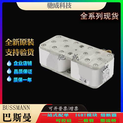 巴斯曼170M6828 170M6829 170M6830 销售供应厂价销售 特种保险丝