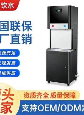 步进式直饮水机商用开水器工厂学校RO反渗透过滤节能大容量净水器