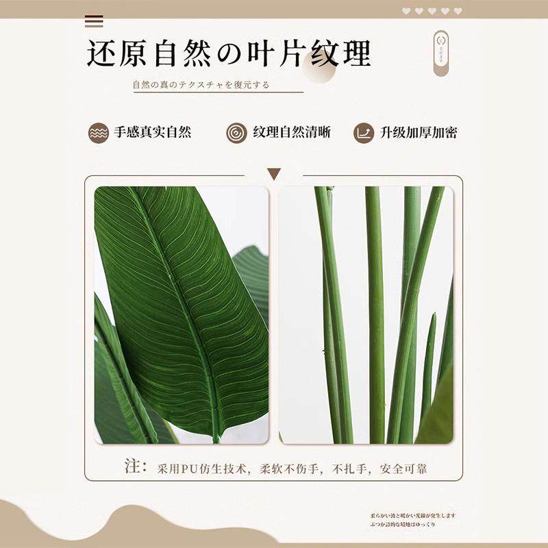 仿真绿植旅人蕉客厅xk-lrj1高端轻奢装饰摆物件大型生植仿内落地