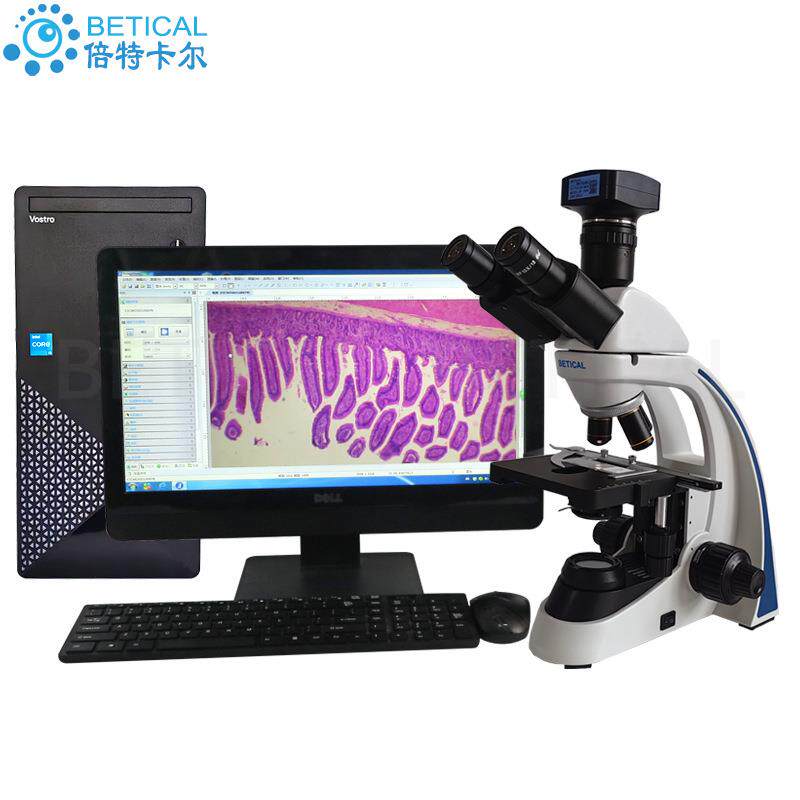 数码生物显微镜S550T三目系列USB输出连电脑使用医学院高校科研用