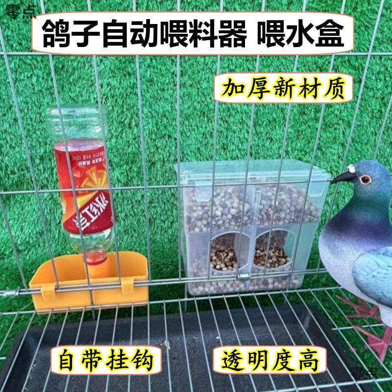 鸽子自动食槽喂食下料器鸽子笼用品用具肉鸽种鸽防撒食盒信鸽用品
