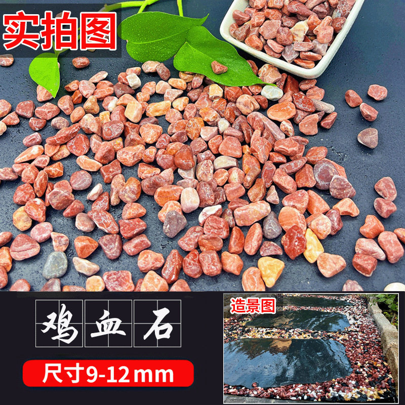 新五彩石雨花石鱼缸造铺底盆栽水培多肉植物铺面装饰小石头
