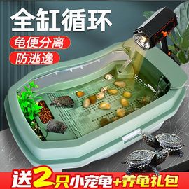 乌龟缸养乌龟专用生态，缸带晒台大小型巴西龟水陆家用水循环乌龟箱
