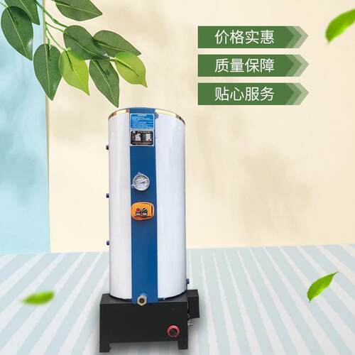 火排式燃气蒸馒头锅炉 蒸豆腐米粉熟食蒸汽发生器