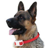 宠物智能防狗叫自动止吠器狗狗防叫止吠项圈训狗器自动喷雾止吠器