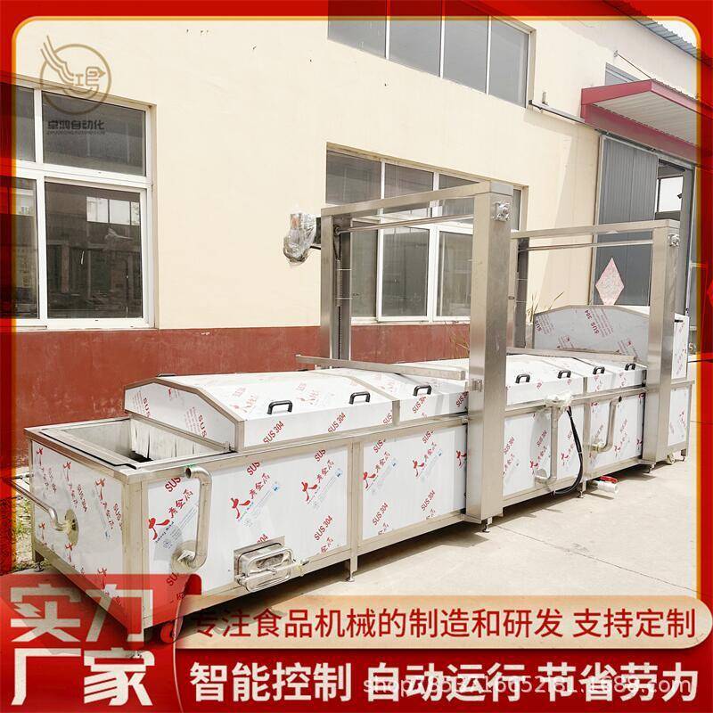 终身维护提升式西蓝花漂烫设备大型黄精加工设备商用黄金勾漂烫机