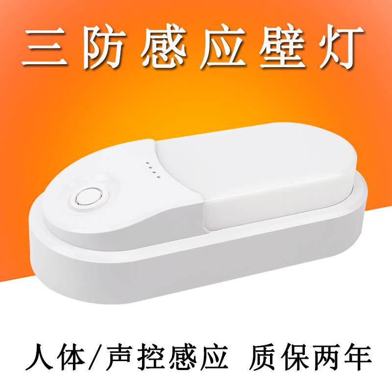 led三防壁灯室内 户外防水应急壁灯走廊通道声控人体感应壁灯