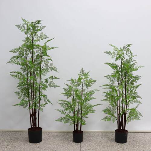 蕨树盆栽马尾蕨客厅绿植蕨类植物落地景观盆景仿真花仿真树叶