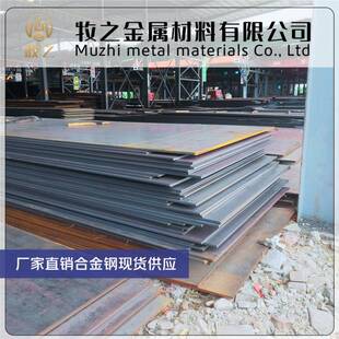 GCR15钢板42CrMo4 38CrMoAl 40Cr 20CrMnTi 60Si2Mn圆棒16MnCr5材